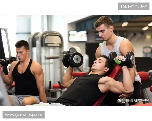 打造健康体魄从健身开始 适合各类人群的科学健身计划与建议