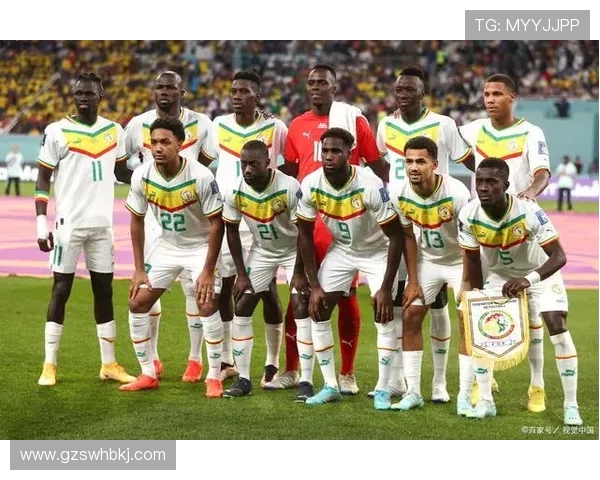 加纳与卡塔尔精彩对决比赛视频回顾与精彩瞬间解析